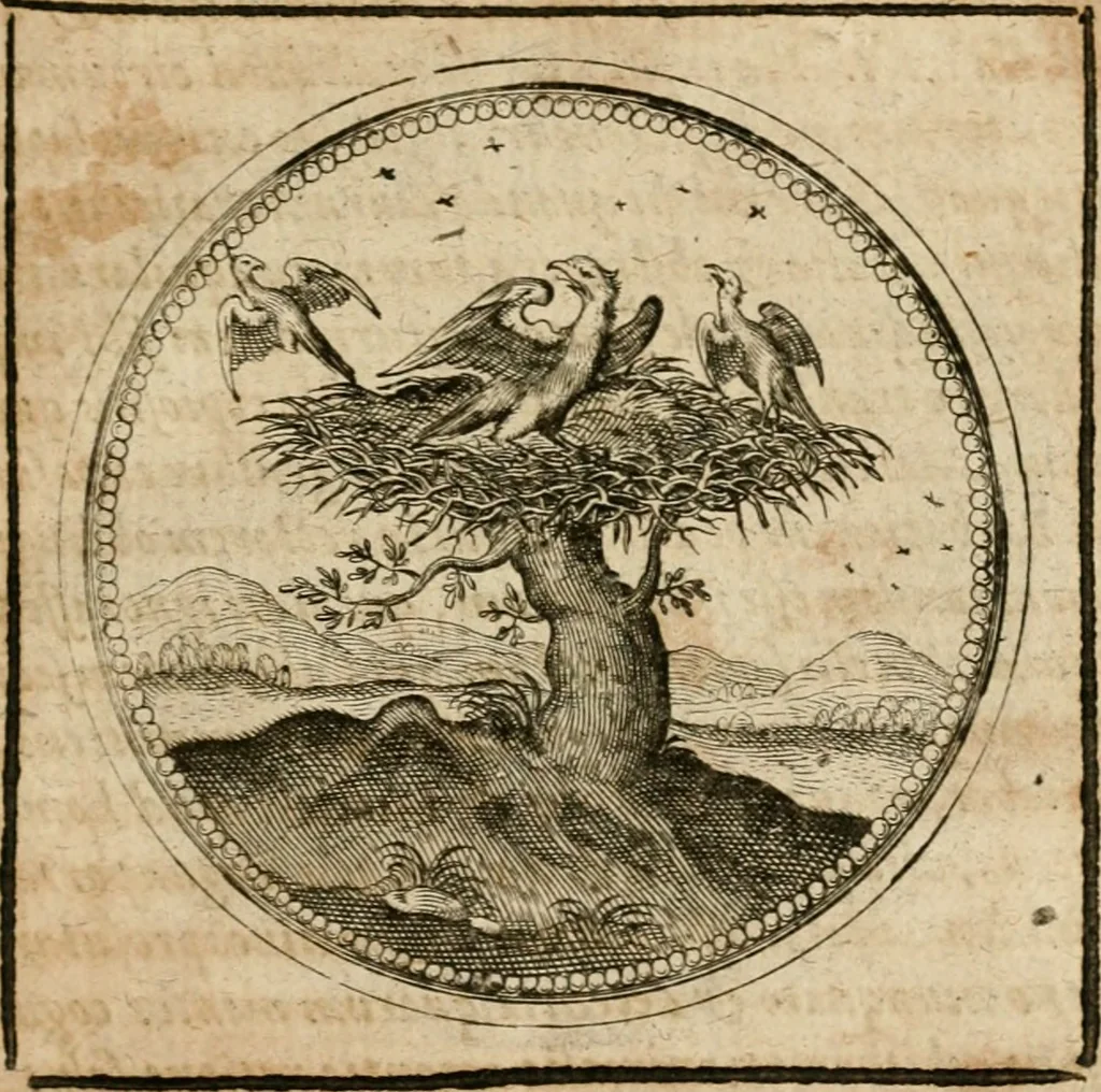 An illustration from Symboloru[m] & emblematum ex re herbaria desumtorum centuria vna[-quarta] collecta, 1654, leaf 648