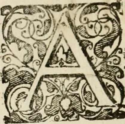 An illustration from Symboloru[m] & emblematum ex re herbaria desumtorum centuria vna[-quarta] collecta, 1654, leaf 65
