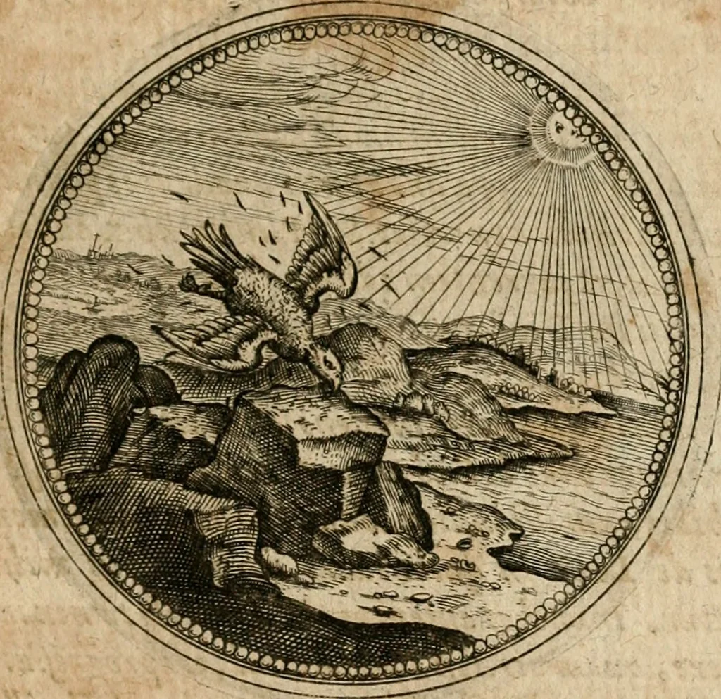 An illustration from Symboloru[m] & emblematum ex re herbaria desumtorum centuria vna[-quarta] collecta, 1654, leaf 658
