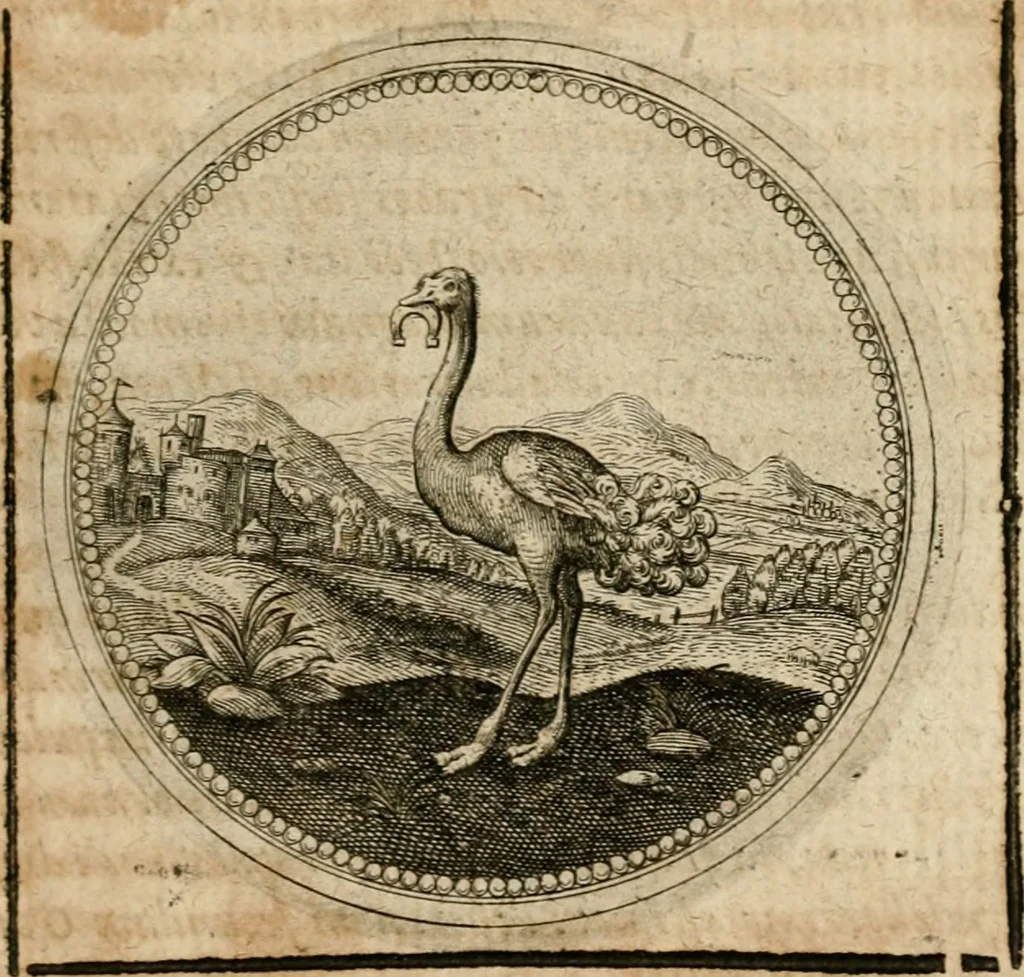 An illustration from Symboloru[m] & emblematum ex re herbaria desumtorum centuria vna[-quarta] collecta, 1654, leaf 664