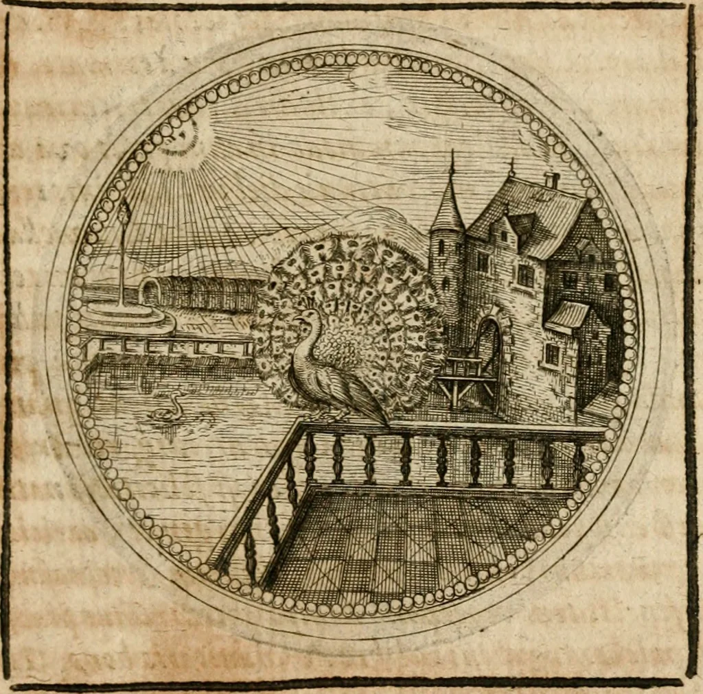 An illustration from Symboloru[m] & emblematum ex re herbaria desumtorum centuria vna[-quarta] collecta, 1654, leaf 666