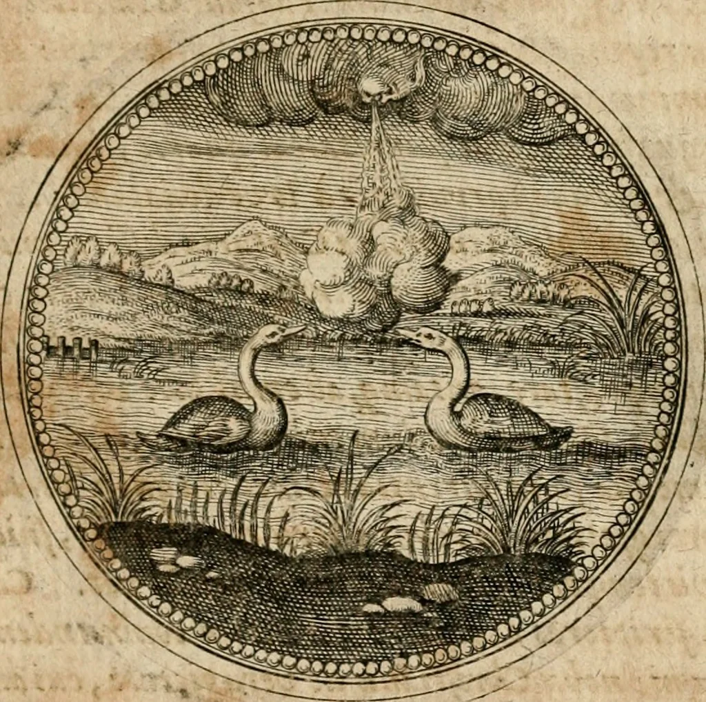 An illustration from Symboloru[m] & emblematum ex re herbaria desumtorum centuria vna[-quarta] collecta, 1654, leaf 674
