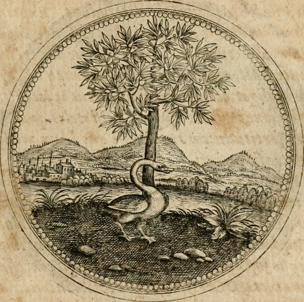 An illustration from Symboloru[m] & emblematum ex re herbaria desumtorum centuria vna[-quarta] collecta, 1654, leaf 676