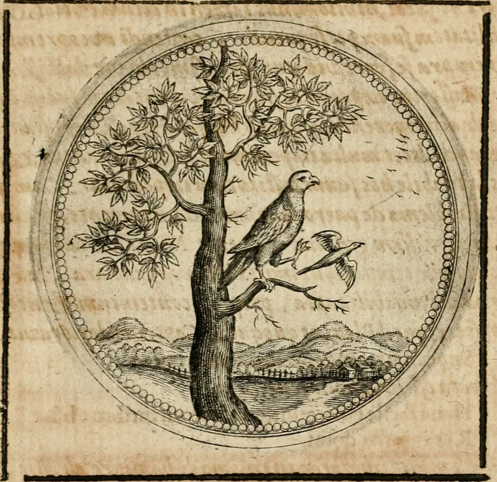 An illustration from Symboloru[m] & emblematum ex re herbaria desumtorum centuria vna[-quarta] collecta, 1654, leaf 686