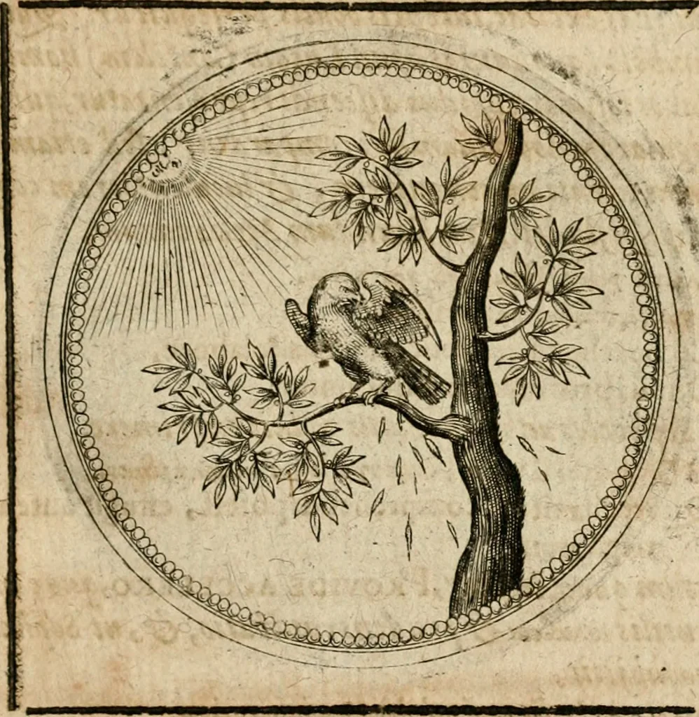 An illustration from Symboloru[m] & emblematum ex re herbaria desumtorum centuria vna[-quarta] collecta, 1654, leaf 694