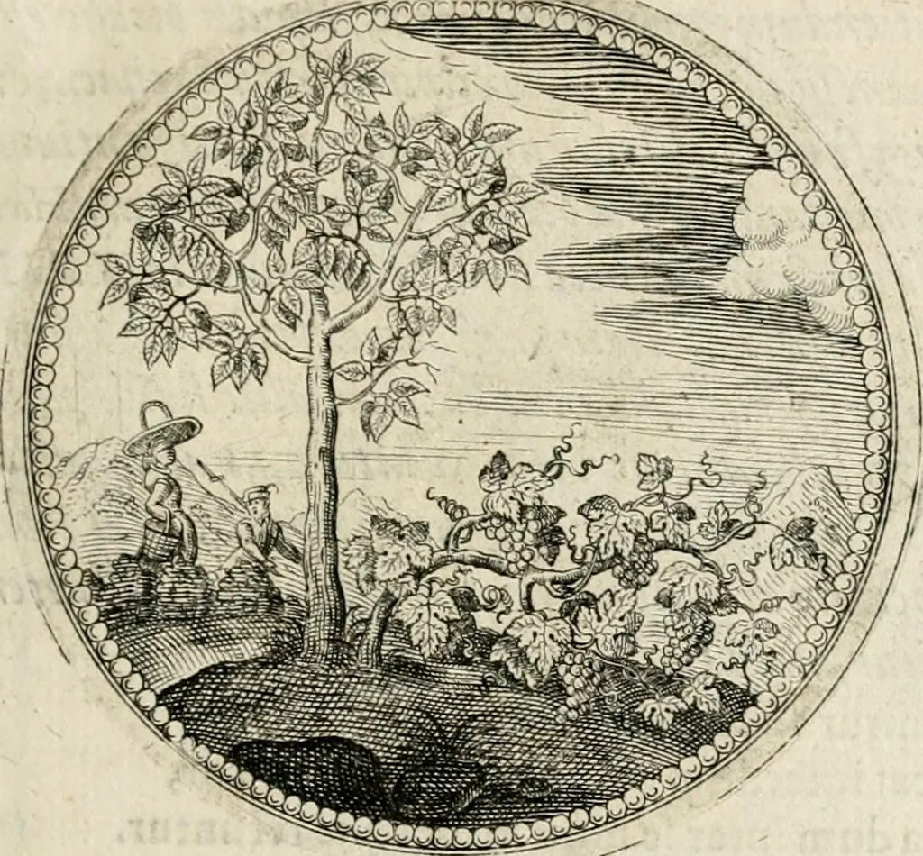 An illustration from Symboloru[m] & emblematum ex re herbaria desumtorum centuria vna[-quarta] collecta, 1654, leaf 70