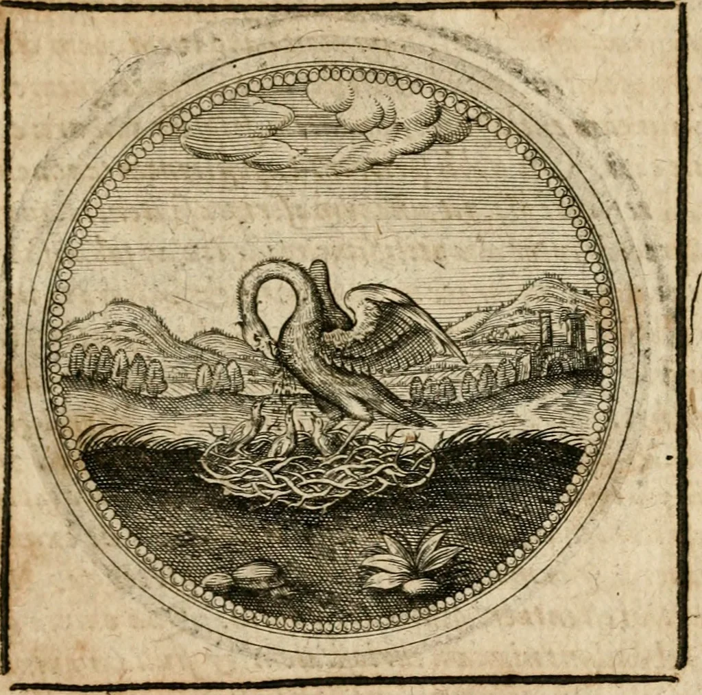 An illustration from Symboloru[m] & emblematum ex re herbaria desumtorum centuria vna[-quarta] collecta, 1654, leaf 700