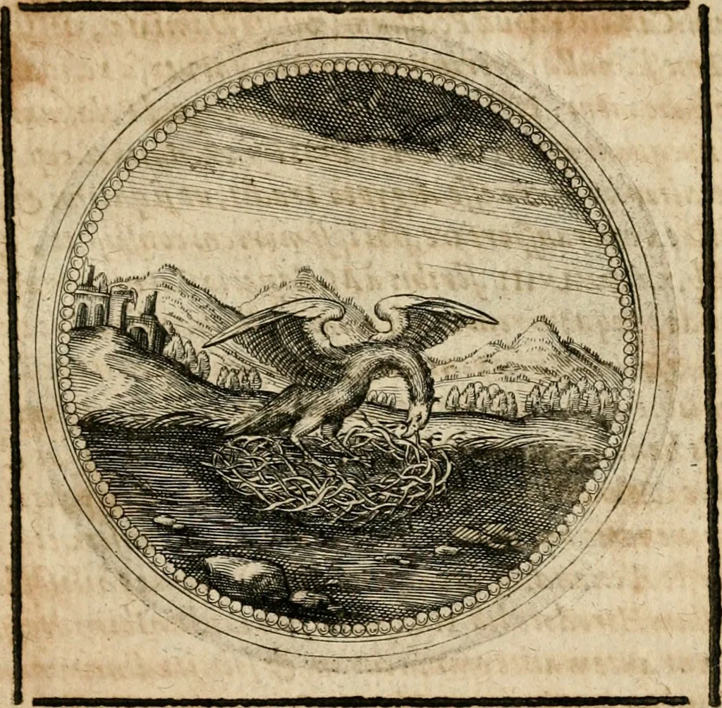 An illustration from Symboloru[m] & emblematum ex re herbaria desumtorum centuria vna[-quarta] collecta, 1654, leaf 702
