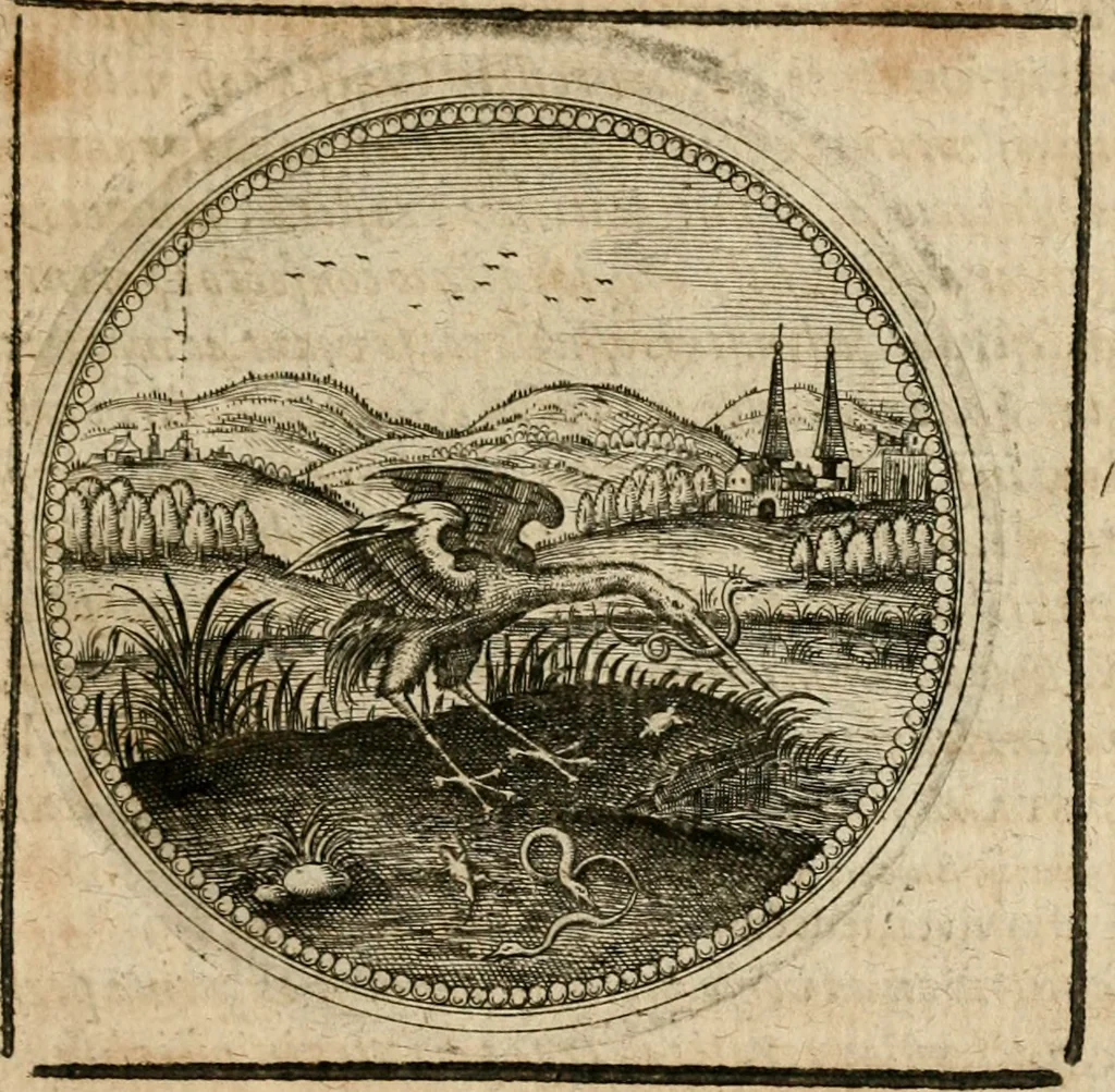 An illustration from Symboloru[m] & emblematum ex re herbaria desumtorum centuria vna[-quarta] collecta, 1654, leaf 704