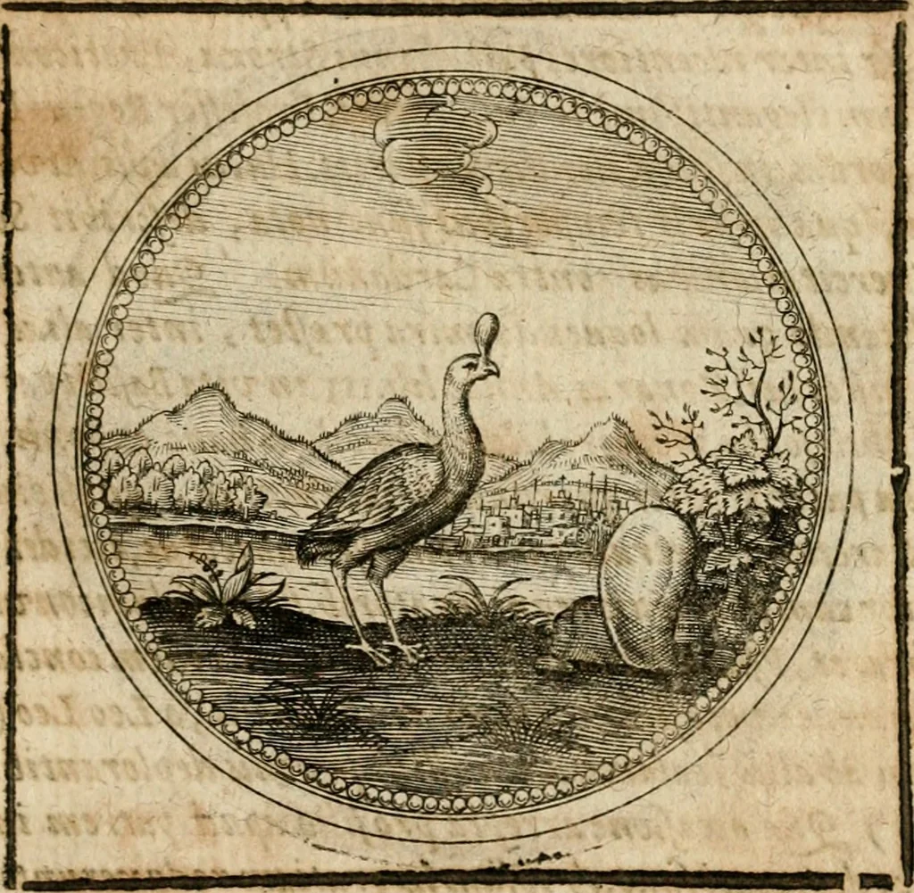An illustration from Symboloru[m] & emblematum ex re herbaria desumtorum centuria vna[-quarta] collecta, 1654, leaf 714