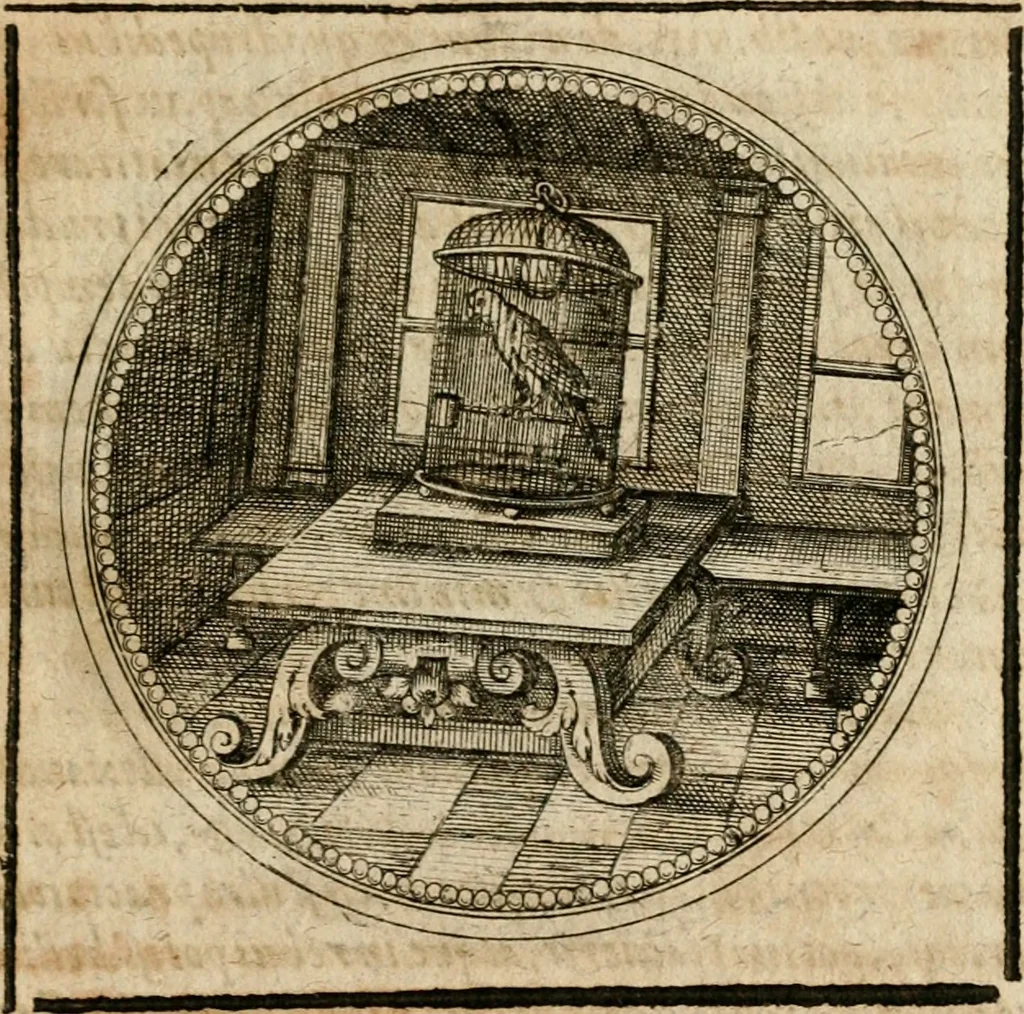 An illustration from Symboloru[m] & emblematum ex re herbaria desumtorum centuria vna[-quarta] collecta, 1654, leaf 716