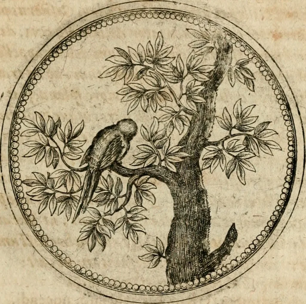 An illustration from Symboloru[m] & emblematum ex re herbaria desumtorum centuria vna[-quarta] collecta, 1654, leaf 718