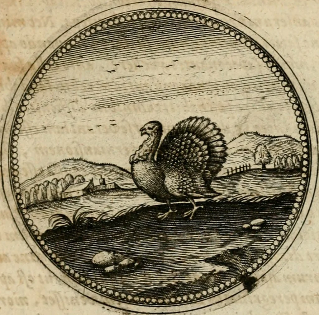 An illustration from Symboloru[m] & emblematum ex re herbaria desumtorum centuria vna[-quarta] collecta, 1654, leaf 720