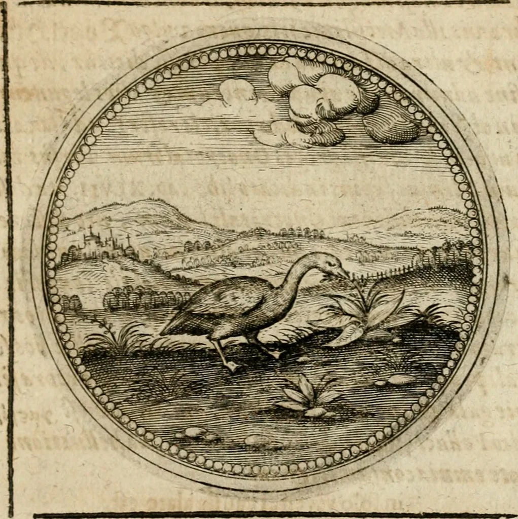 An illustration from Symboloru[m] & emblematum ex re herbaria desumtorum centuria vna[-quarta] collecta, 1654, leaf 722