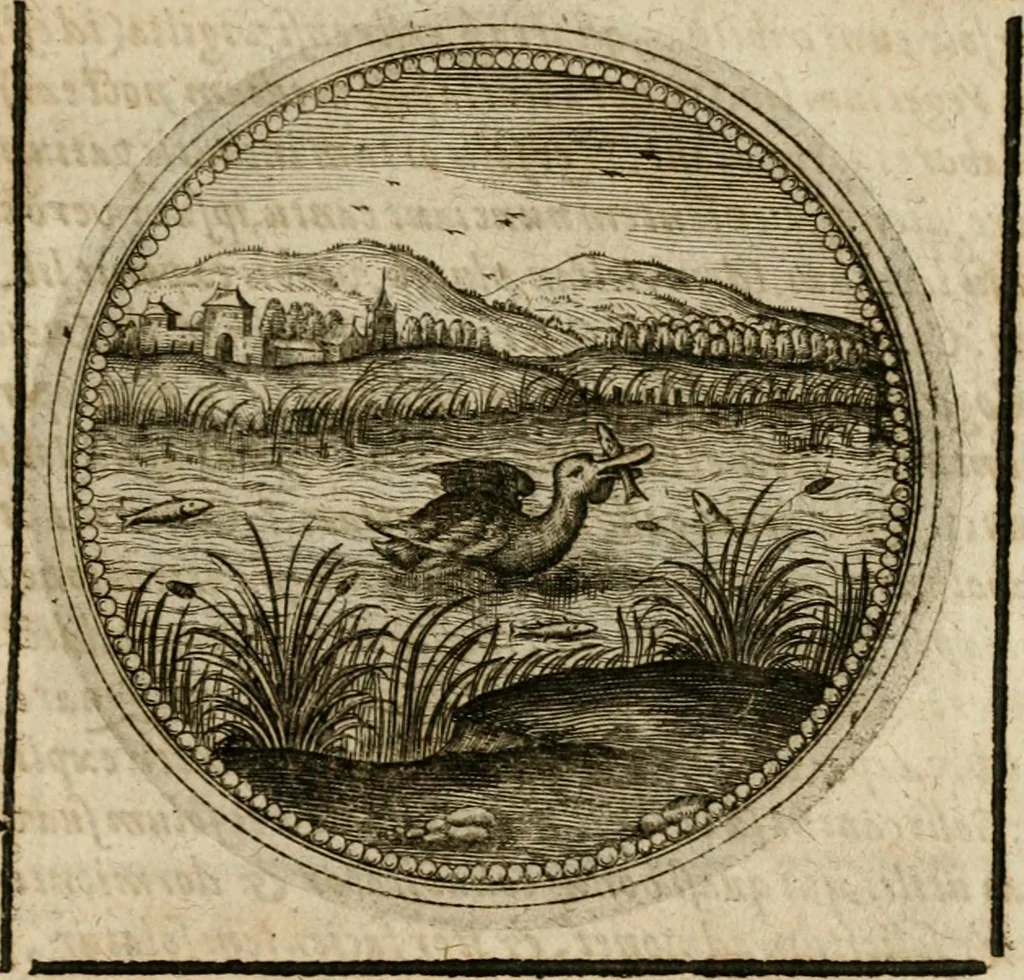 An illustration from Symboloru[m] & emblematum ex re herbaria desumtorum centuria vna[-quarta] collecta, 1654, leaf 724