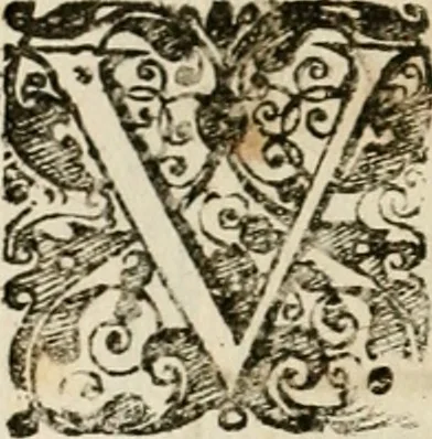 An illustration from Symboloru[m] & emblematum ex re herbaria desumtorum centuria vna[-quarta] collecta, 1654, leaf 73