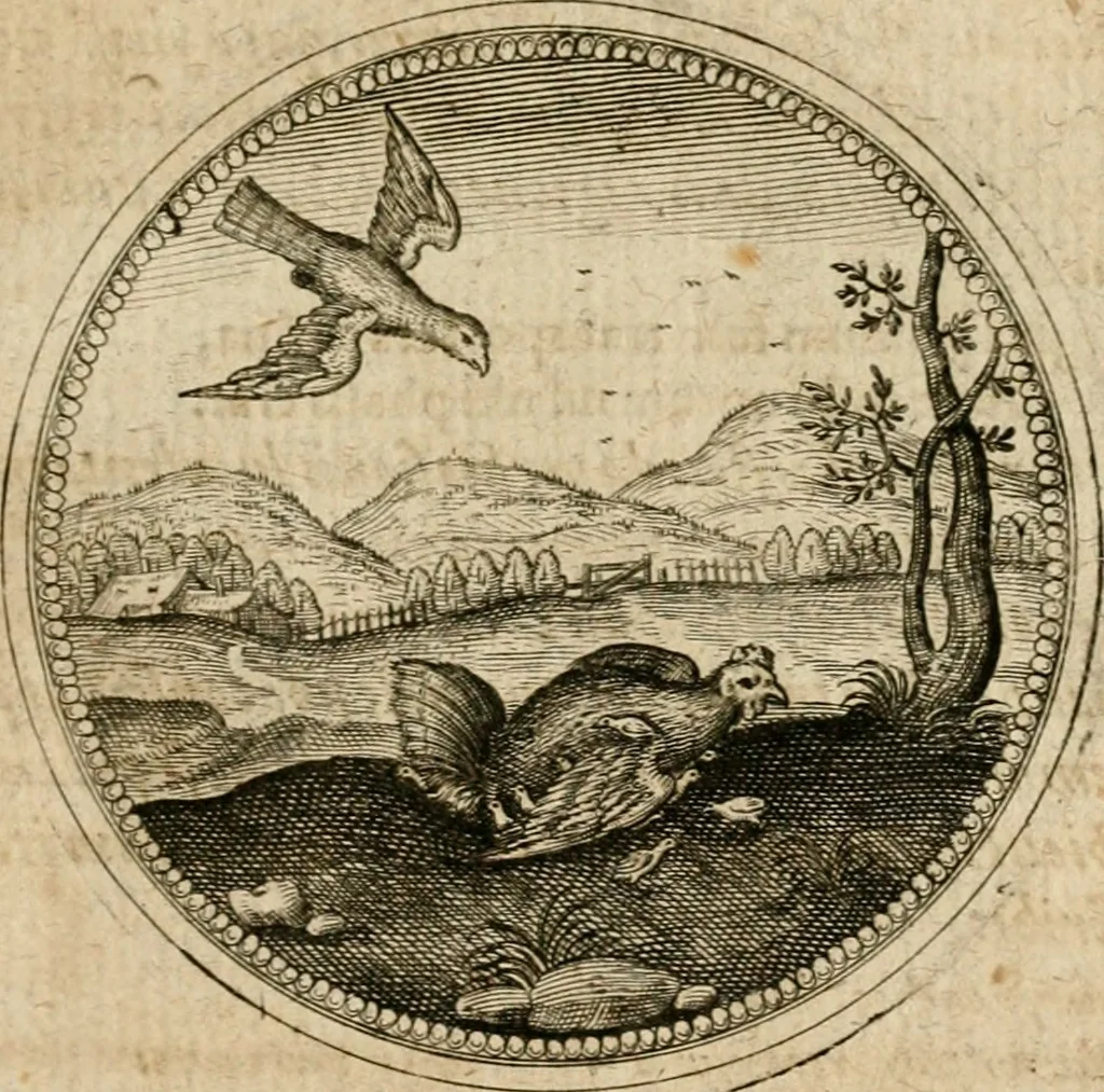 An illustration from Symboloru[m] & emblematum ex re herbaria desumtorum centuria vna[-quarta] collecta, 1654, leaf 730
