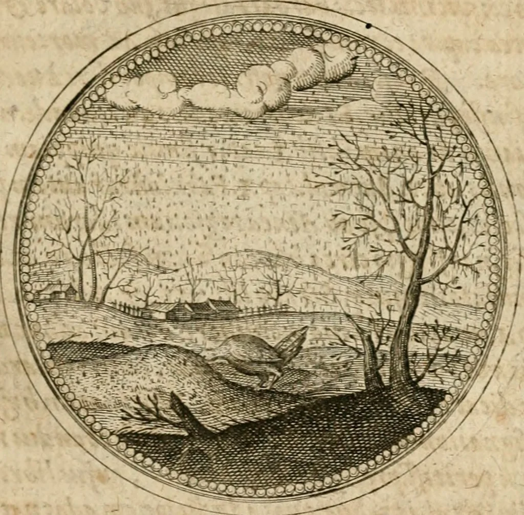 An illustration from Symboloru[m] & emblematum ex re herbaria desumtorum centuria vna[-quarta] collecta, 1654, leaf 732