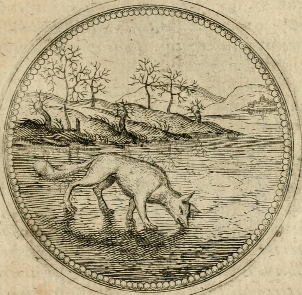 An illustration from Symboloru[m] & emblematum ex re herbaria desumtorum centuria vna[-quarta] collecta, 1654, leaf 736
