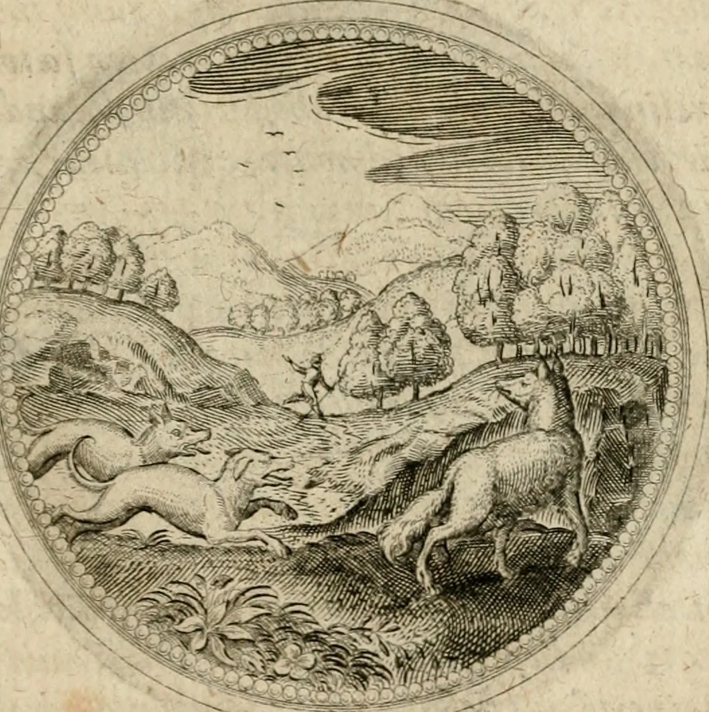 An illustration from Symboloru[m] & emblematum ex re herbaria desumtorum centuria vna[-quarta] collecta, 1654, leaf 738