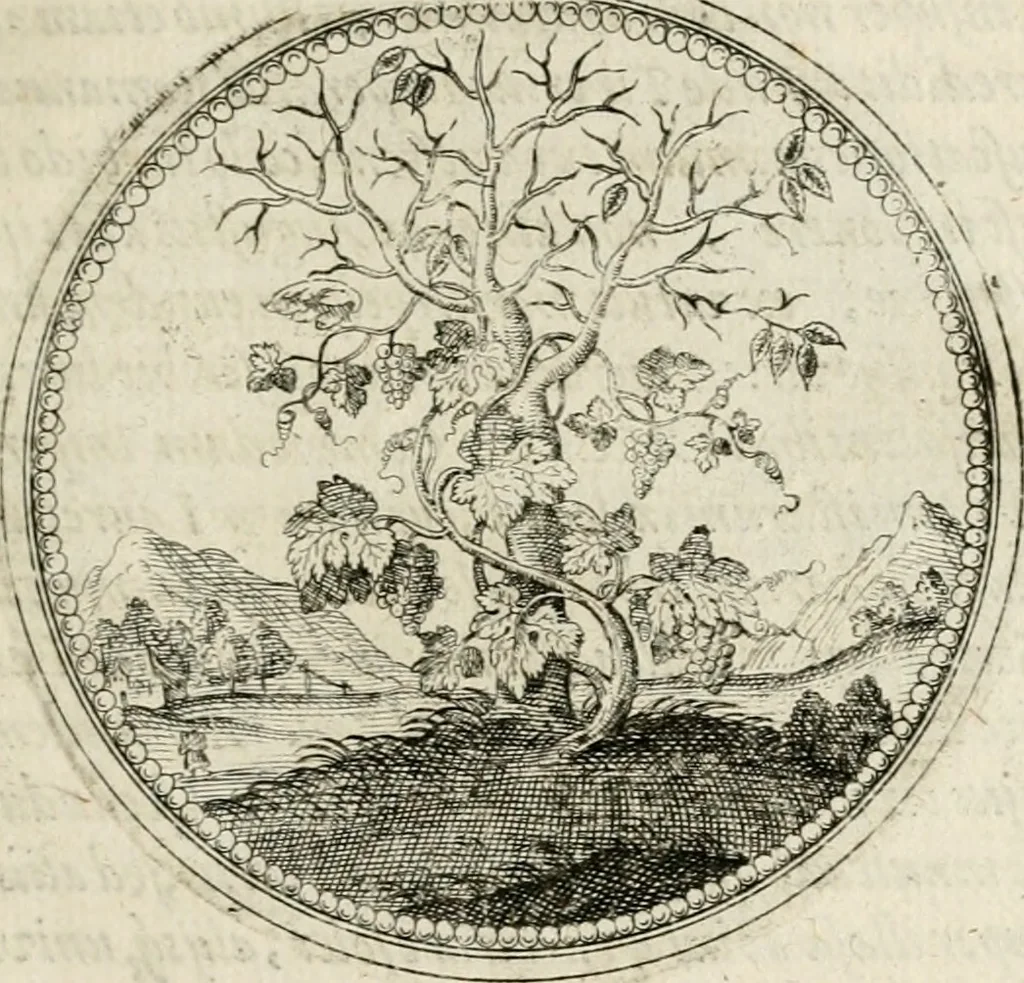 An illustration from Symboloru[m] & emblematum ex re herbaria desumtorum centuria vna[-quarta] collecta, 1654, leaf 74