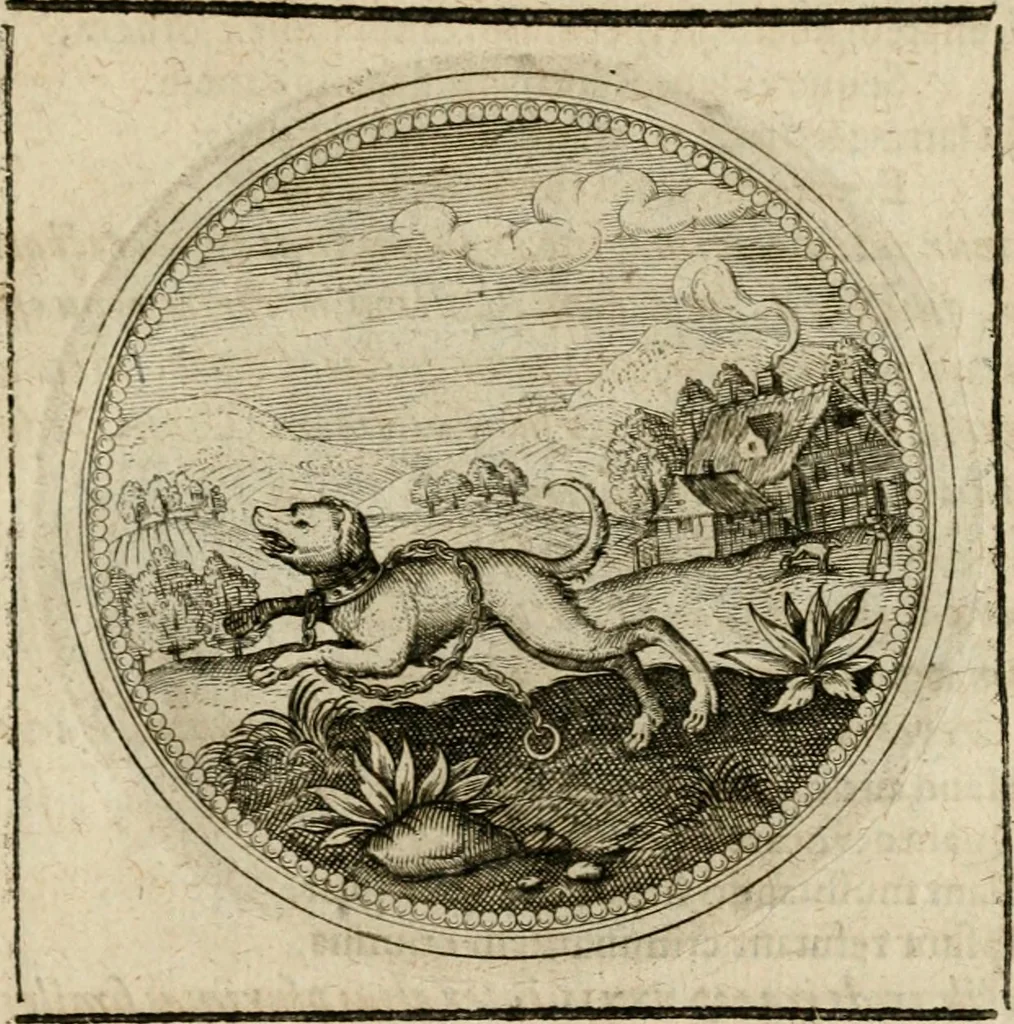 An illustration from Symboloru[m] & emblematum ex re herbaria desumtorum centuria vna[-quarta] collecta, 1654, leaf 746