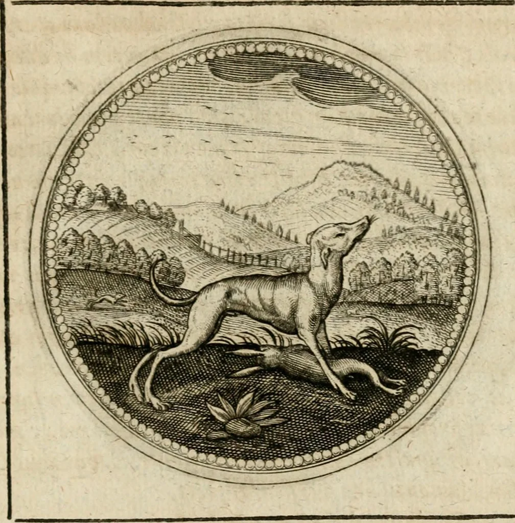 An illustration from Symboloru[m] & emblematum ex re herbaria desumtorum centuria vna[-quarta] collecta, 1654, leaf 752
