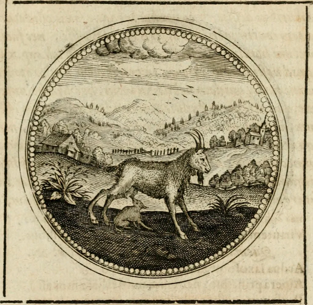 An illustration from Symboloru[m] & emblematum ex re herbaria desumtorum centuria vna[-quarta] collecta, 1654, leaf 756