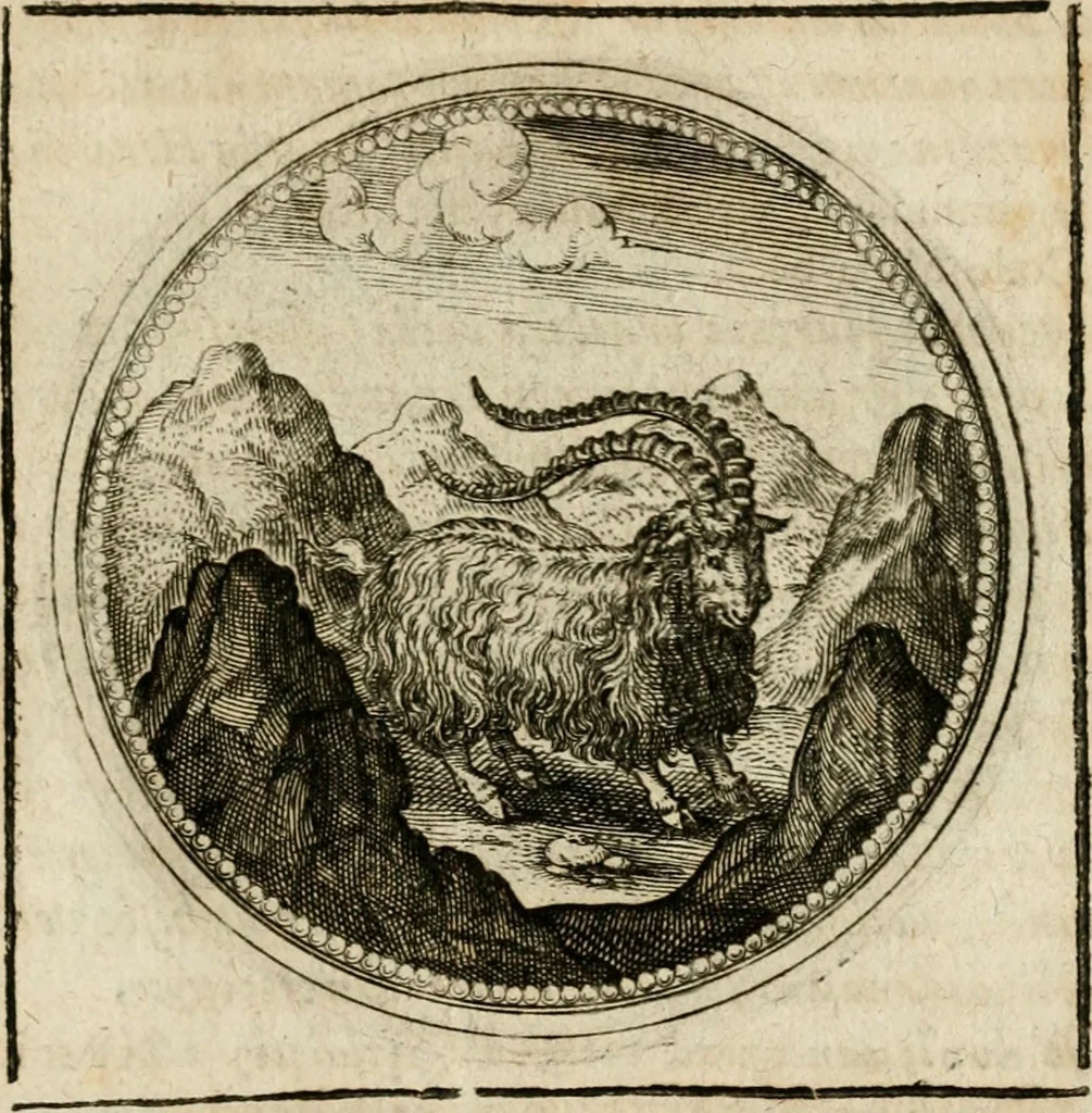 An illustration from Symboloru[m] & emblematum ex re herbaria desumtorum centuria vna[-quarta] collecta, 1654, leaf 758