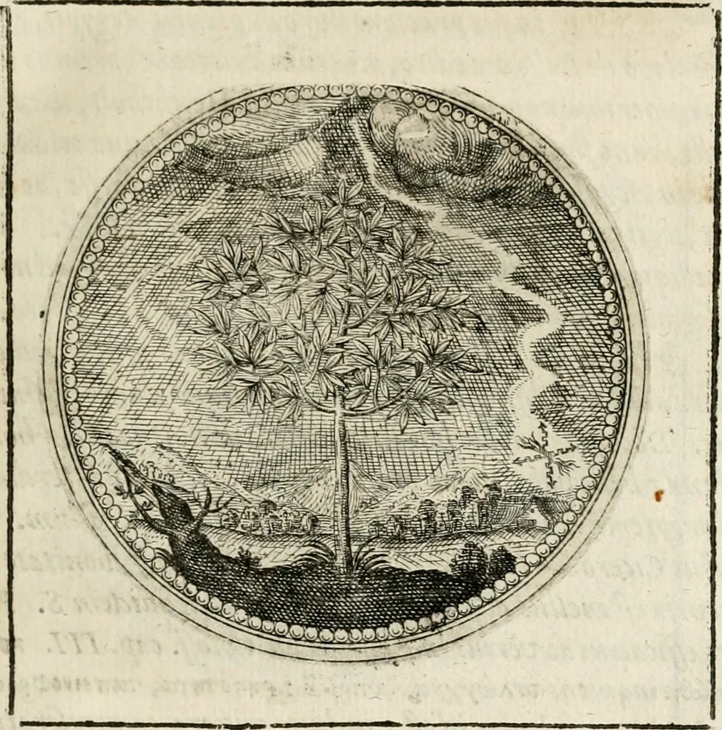 An illustration from Symboloru[m] & emblematum ex re herbaria desumtorum centuria vna[-quarta] collecta, 1654, leaf 76