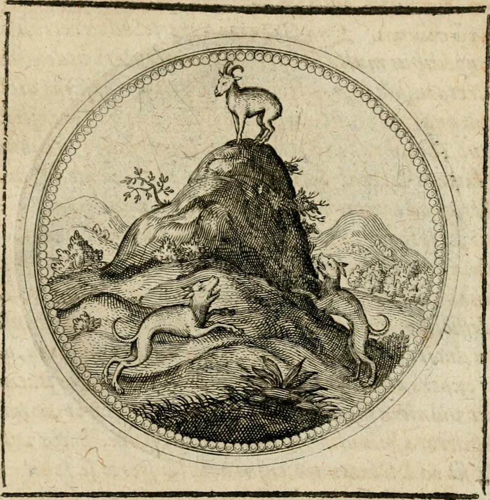 An illustration from Symboloru[m] & emblematum ex re herbaria desumtorum centuria vna[-quarta] collecta, 1654, leaf 762