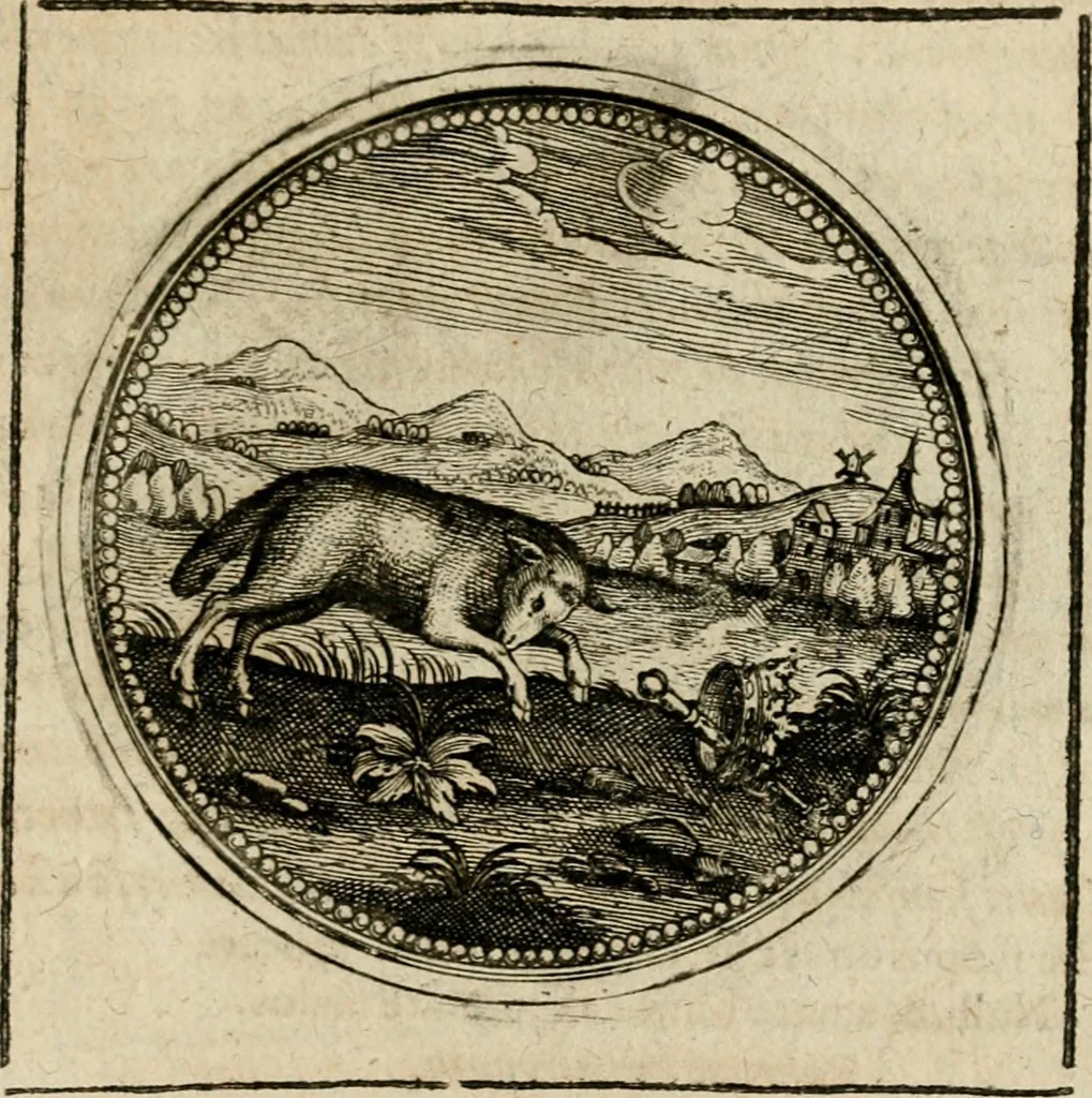 An illustration from Symboloru[m] & emblematum ex re herbaria desumtorum centuria vna[-quarta] collecta, 1654, leaf 766