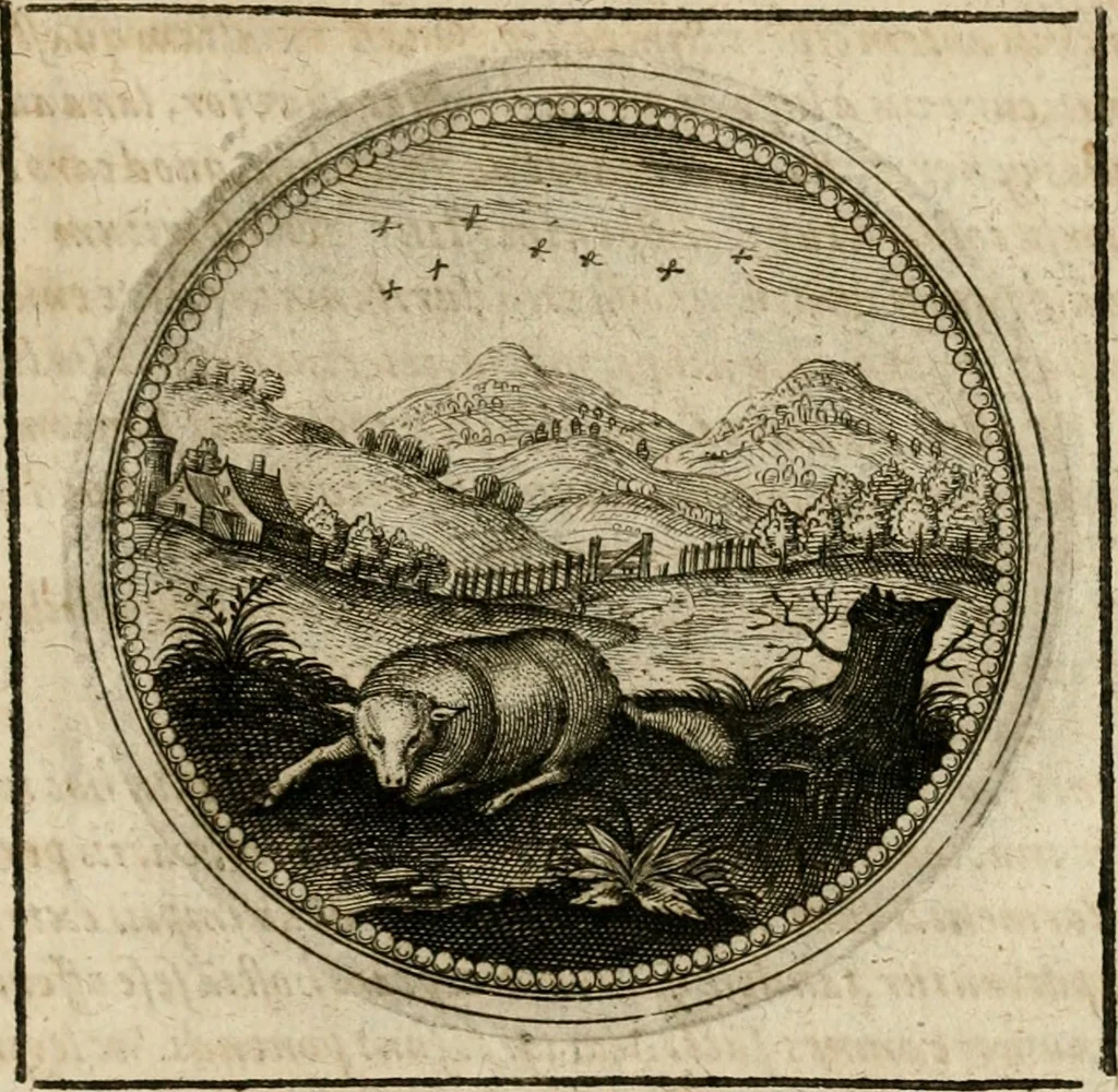 An illustration from Symboloru[m] & emblematum ex re herbaria desumtorum centuria vna[-quarta] collecta, 1654, leaf 768