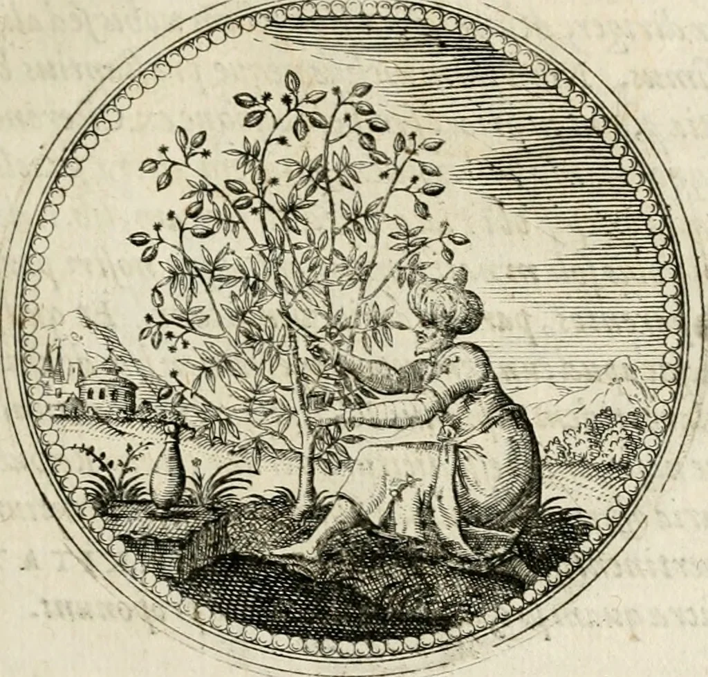 An illustration from Symboloru[m] & emblematum ex re herbaria desumtorum centuria vna[-quarta] collecta, 1654, leaf 78