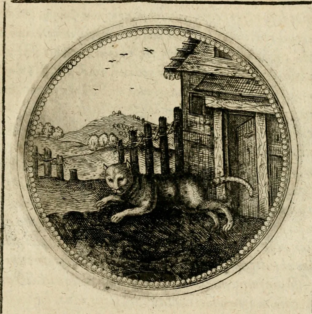 An illustration from Symboloru[m] & emblematum ex re herbaria desumtorum centuria vna[-quarta] collecta, 1654, leaf 782