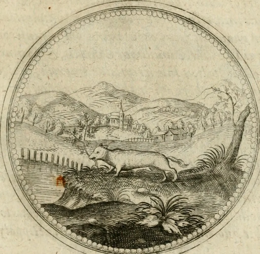 An illustration from Symboloru[m] & emblematum ex re herbaria desumtorum centuria vna[-quarta] collecta, 1654, leaf 784