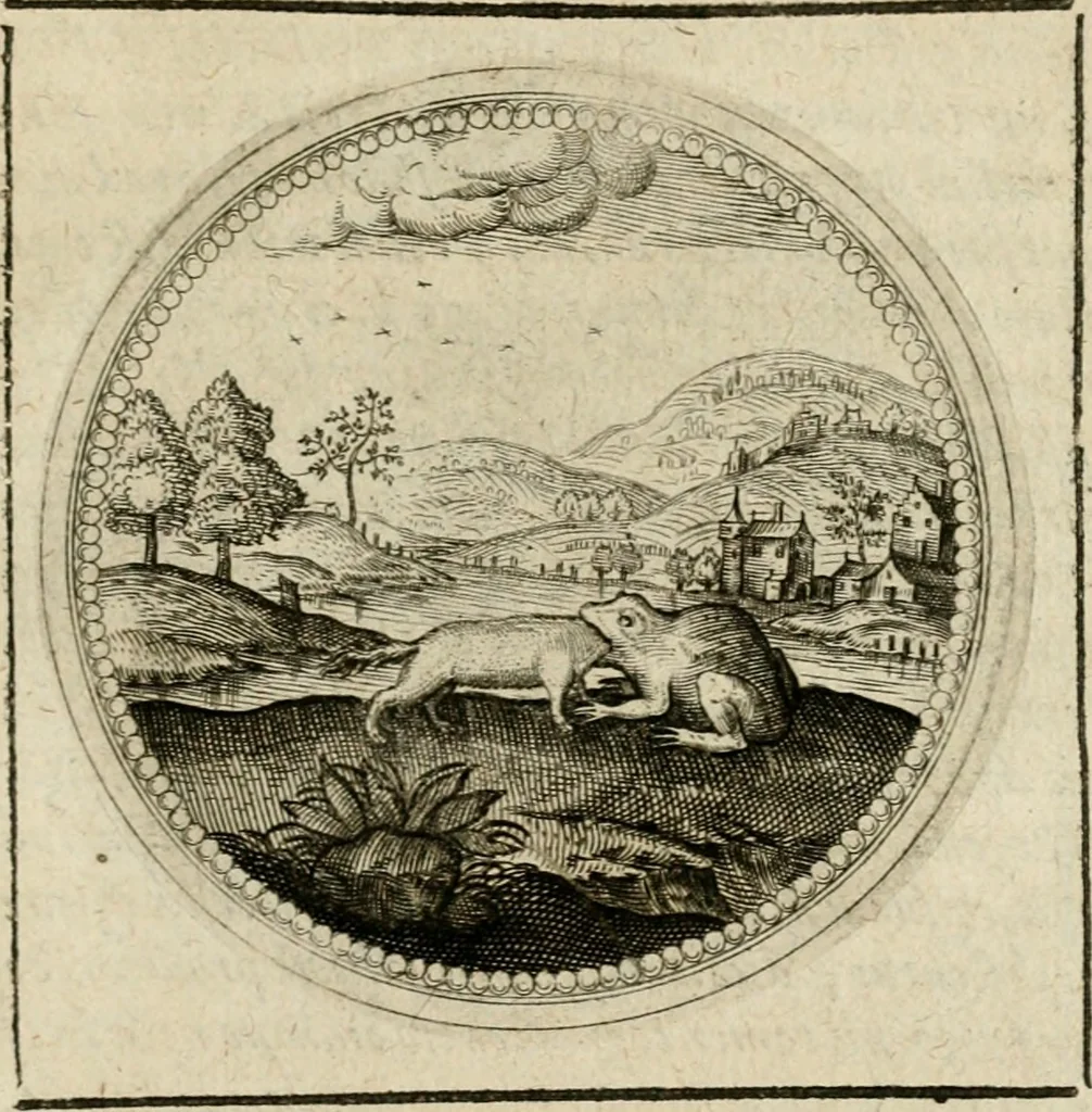 An illustration from Symboloru[m] & emblematum ex re herbaria desumtorum centuria vna[-quarta] collecta, 1654, leaf 786