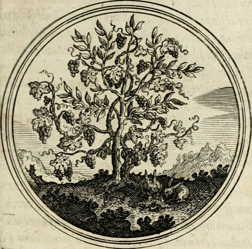 An illustration from Symboloru[m] & emblematum ex re herbaria desumtorum centuria vna[-quarta] collecta, 1654, leaf 80