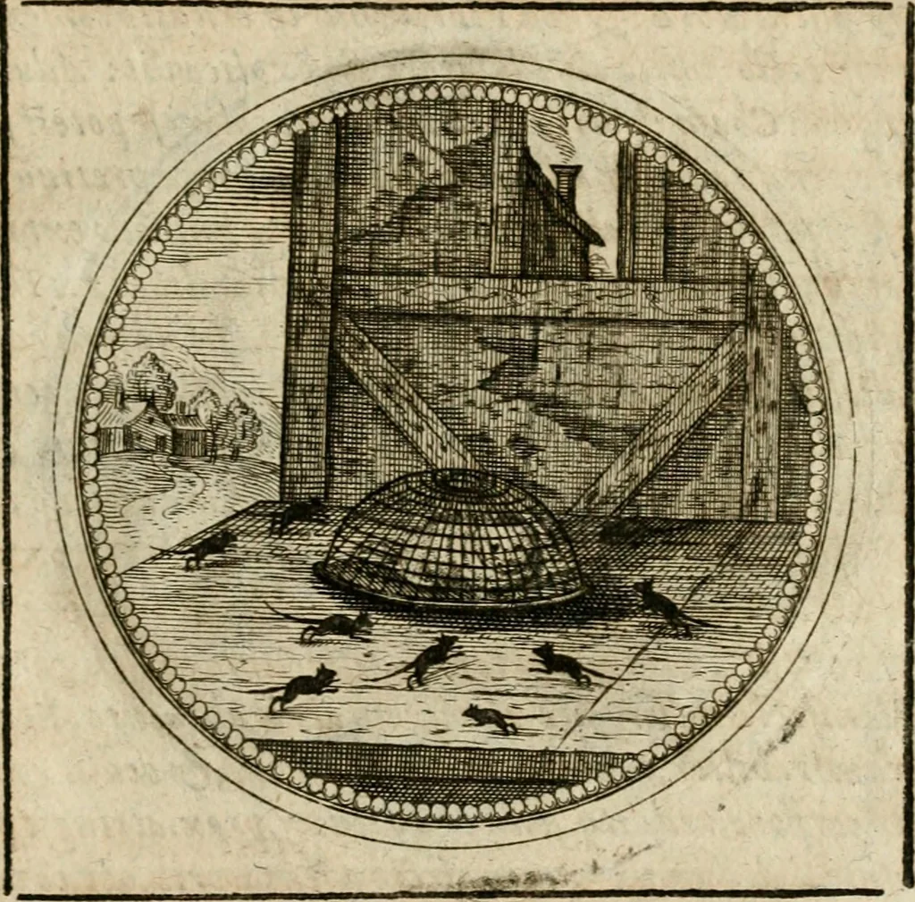 An illustration from Symboloru[m] & emblematum ex re herbaria desumtorum centuria vna[-quarta] collecta, 1654, leaf 804