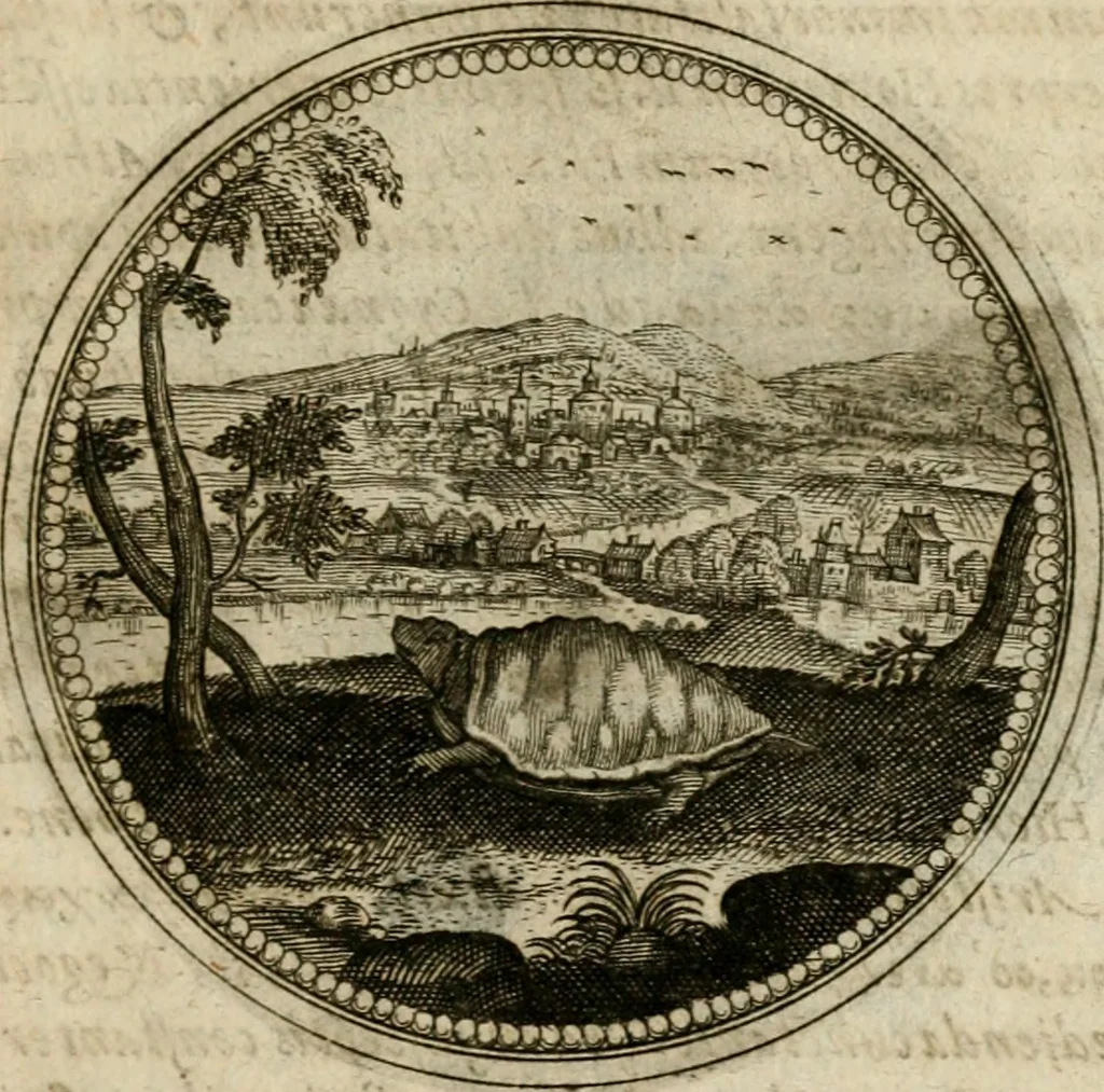 An illustration from Symboloru[m] & emblematum ex re herbaria desumtorum centuria vna[-quarta] collecta, 1654, leaf 808