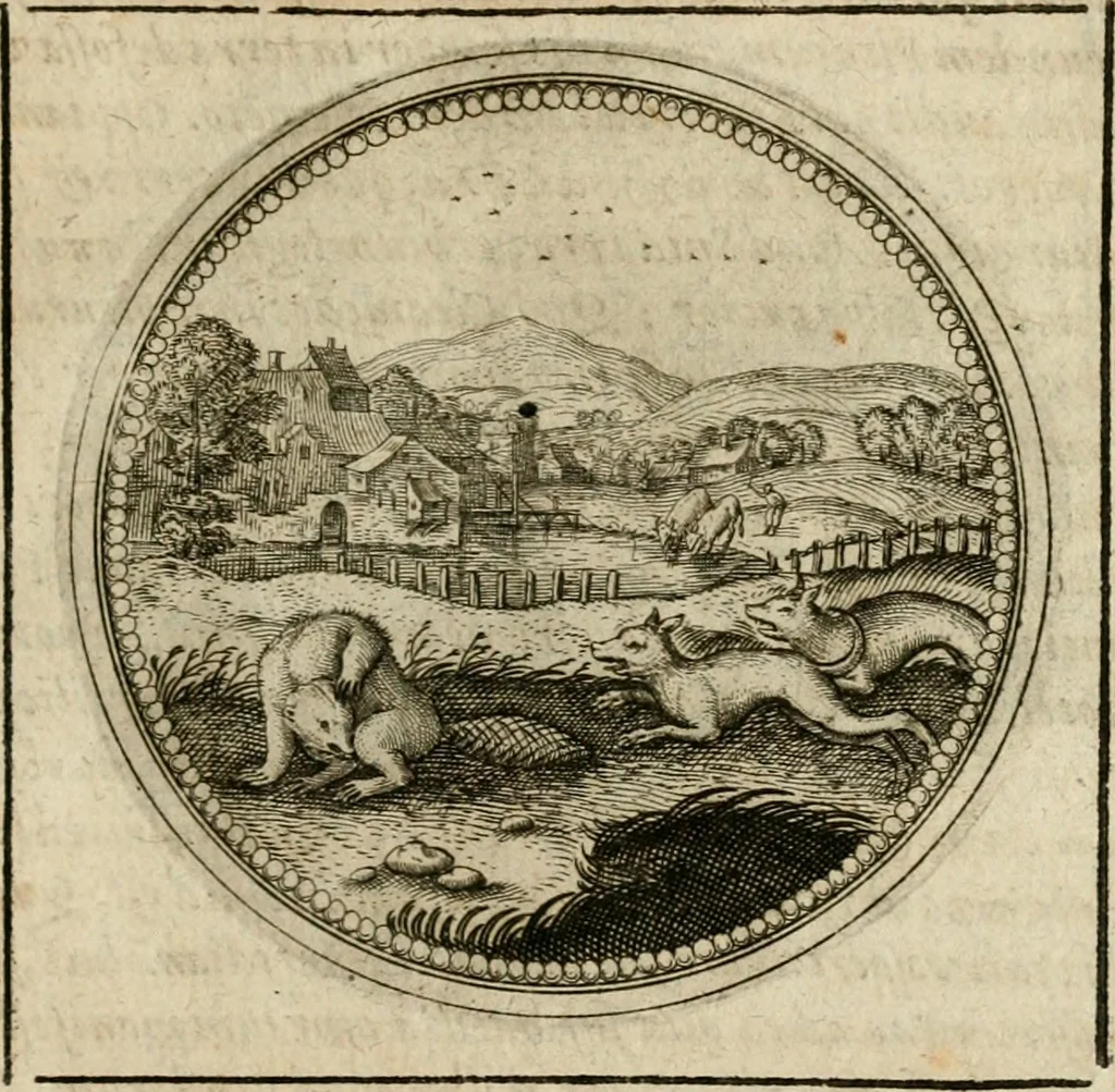 An illustration from Symboloru[m] & emblematum ex re herbaria desumtorum centuria vna[-quarta] collecta, 1654, leaf 812