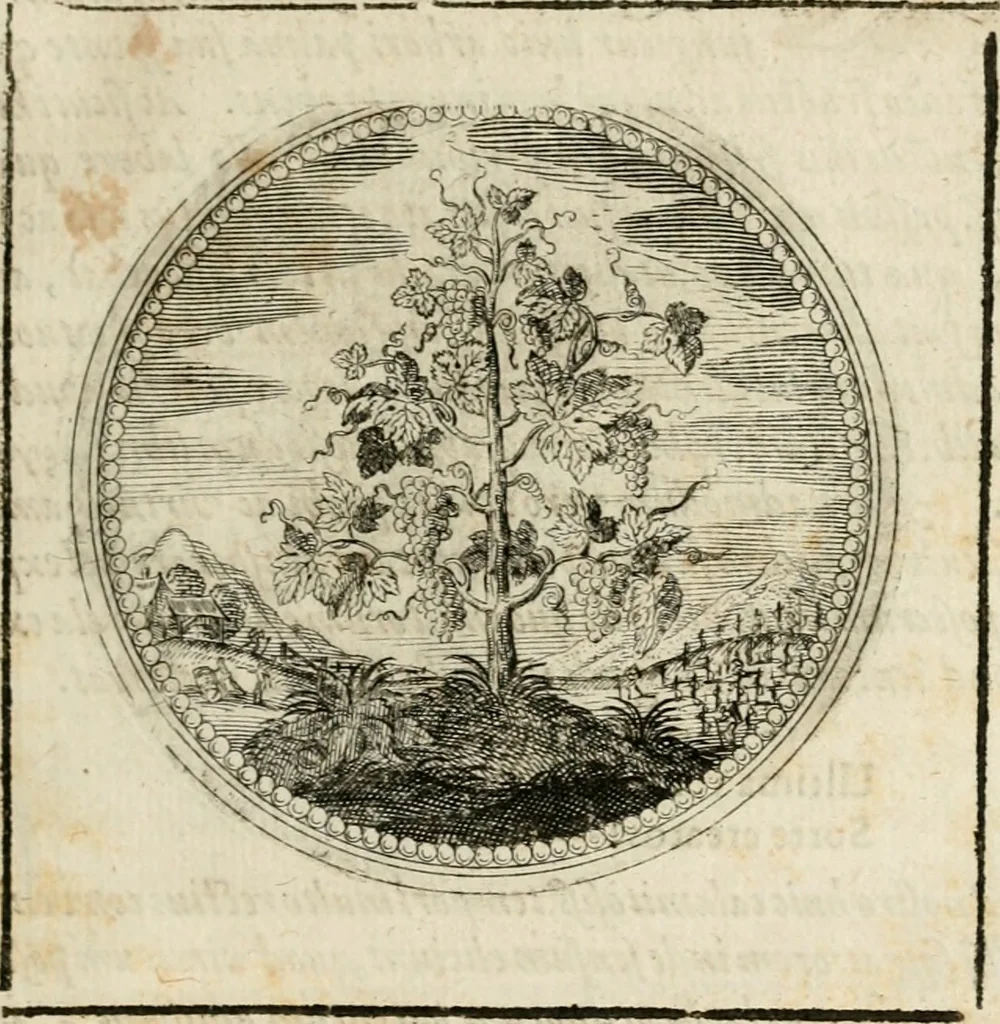 An illustration from Symboloru[m] & emblematum ex re herbaria desumtorum centuria vna[-quarta] collecta, 1654, leaf 84