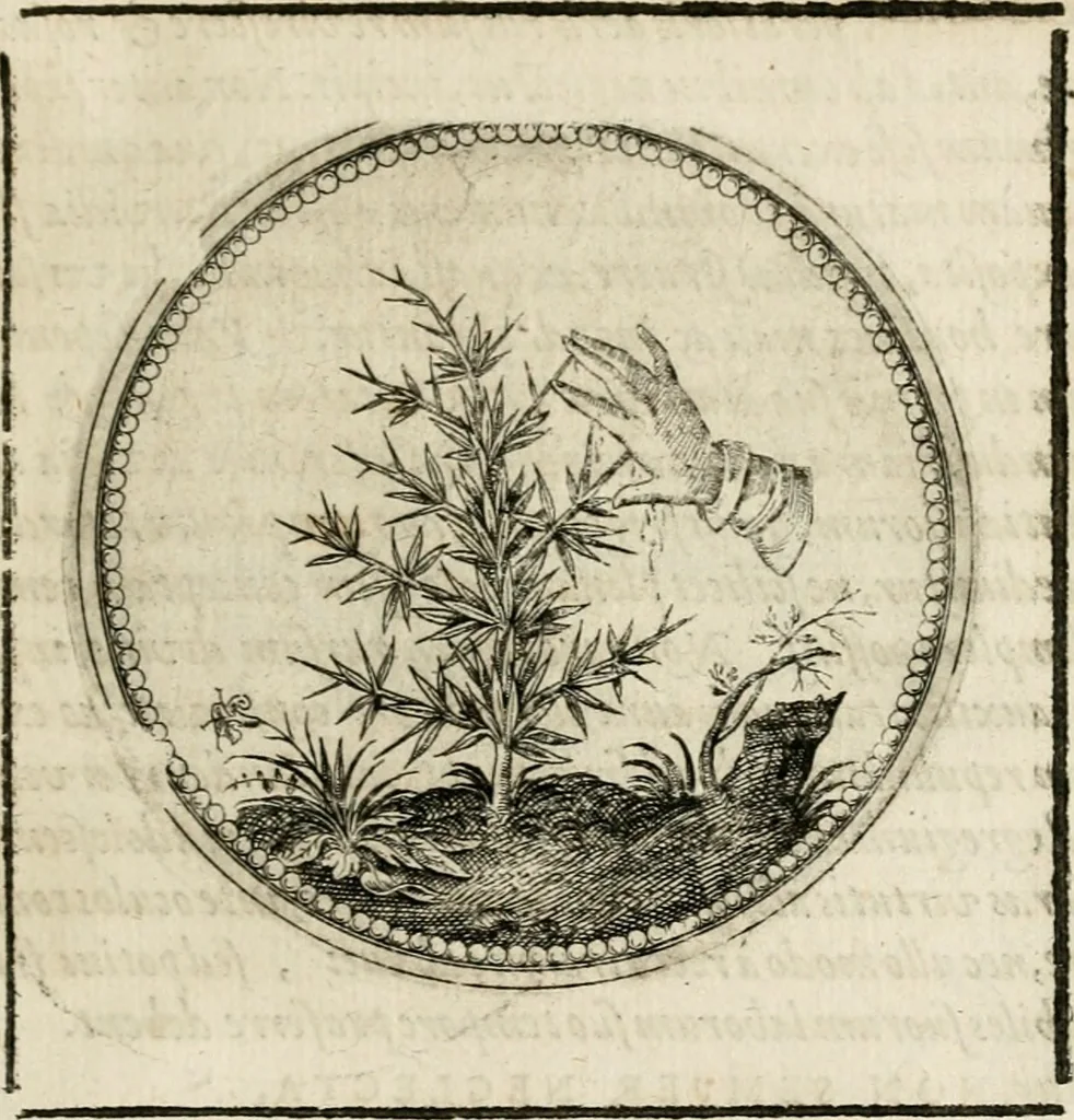 An illustration from Symboloru[m] & emblematum ex re herbaria desumtorum centuria vna[-quarta] collecta, 1654, leaf 88