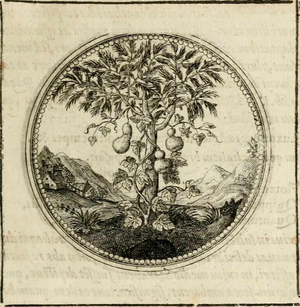 An illustration from Symboloru[m] & emblematum ex re herbaria desumtorum centuria vna[-quarta] collecta, 1654, leaf 96