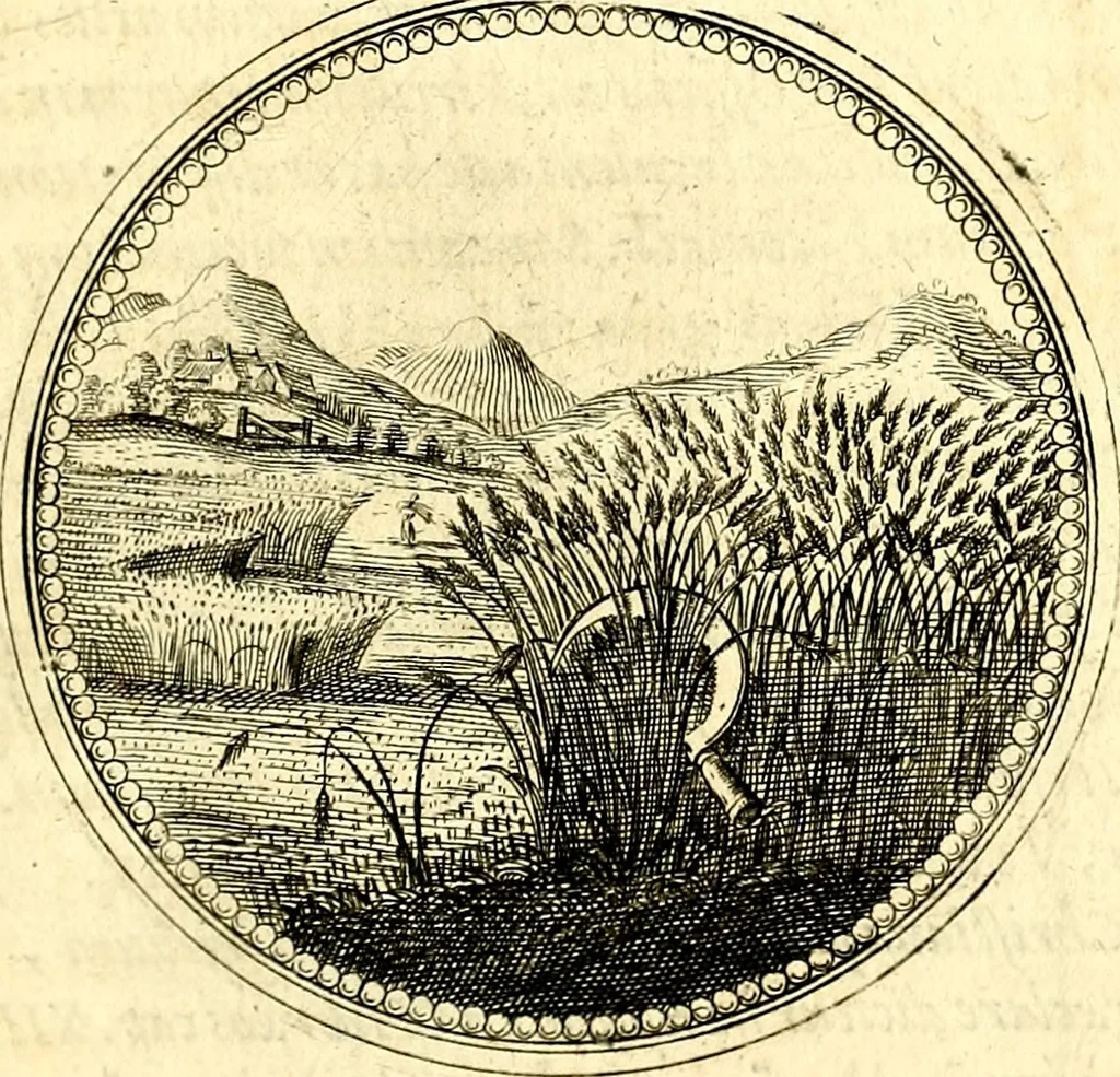 An illustration from Symbolorum et emblematum ... centuria una [-quatuor], 1654, leaf 120