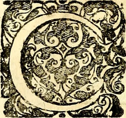 An illustration from Symbolorum et emblematum ... centuria una [-quatuor], 1654, leaf 139