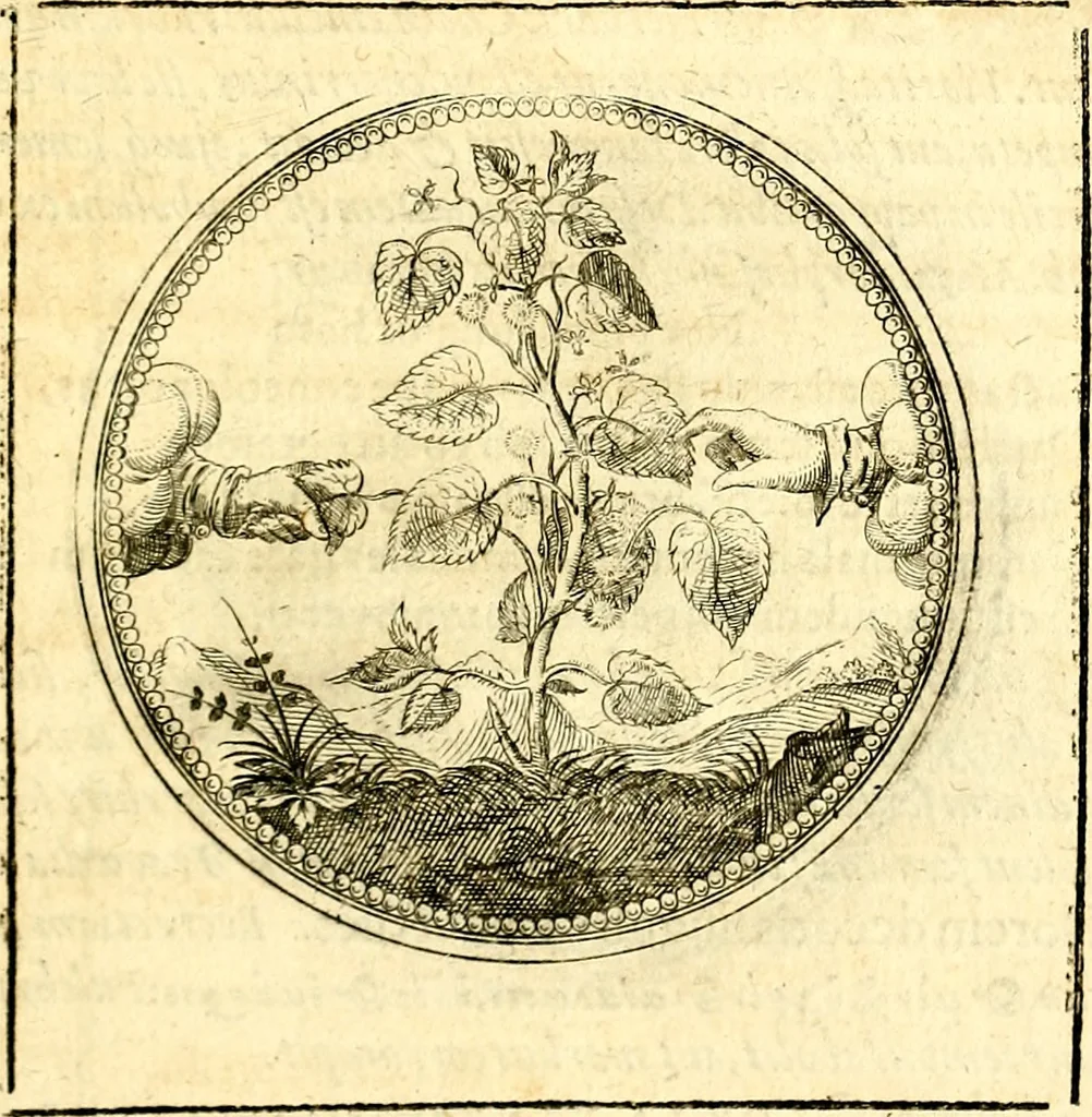 An illustration from Symbolorum et emblematum ... centuria una [-quatuor], 1654, leaf 144