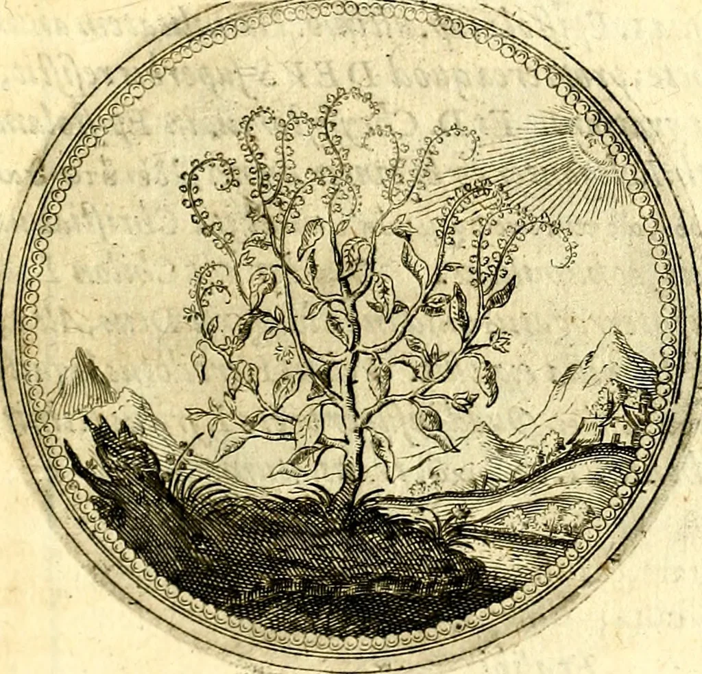An illustration from Symbolorum et emblematum ... centuria una [-quatuor], 1654, leaf 152
