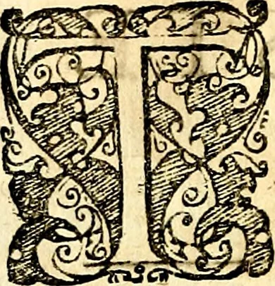 An illustration from Symbolorum et emblematum ... centuria una [-quatuor], 1654, leaf 157