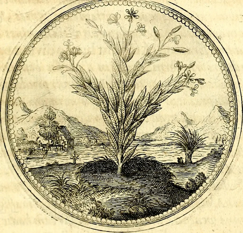 An illustration from Symbolorum et emblematum ... centuria una [-quatuor], 1654, leaf 166
